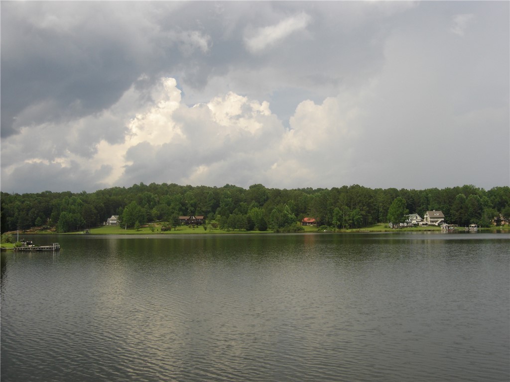 201 The Bear Boulevard, Tamassee, South Carolina image 44