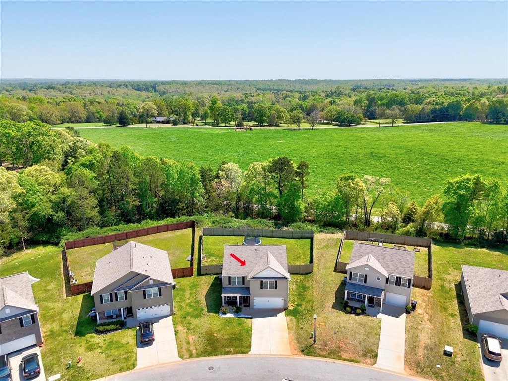 218 Hillendale Way, Pelzer, South Carolina image 31