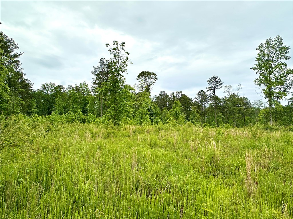 Lot 6 Coffee Road, Walhalla, South Carolina image 4