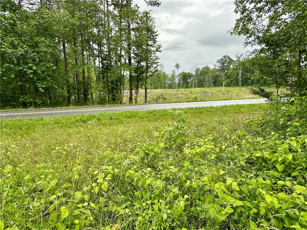 Lot 6 Coffee Road, Walhalla, South Carolina image 3