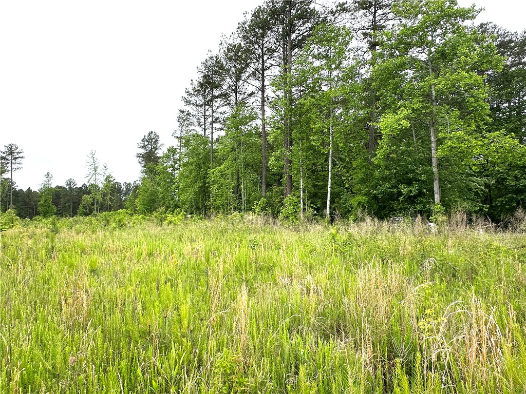 Lot 6 Coffee Road, Walhalla, South Carolina image 6