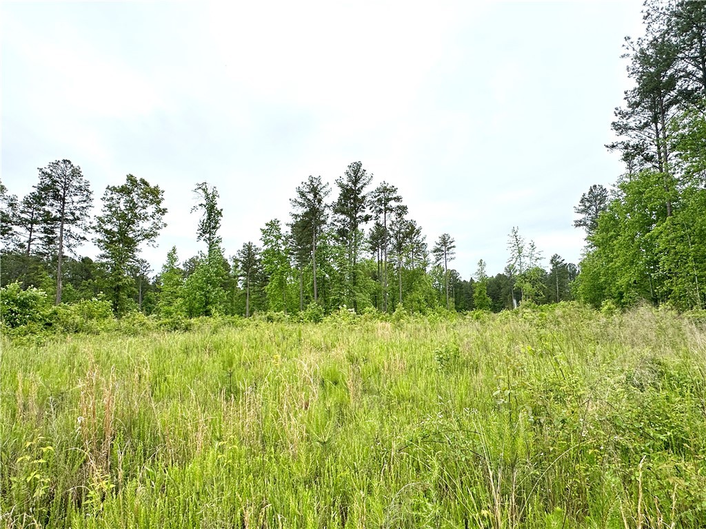 Lot 6 Coffee Road, Walhalla, South Carolina image 5
