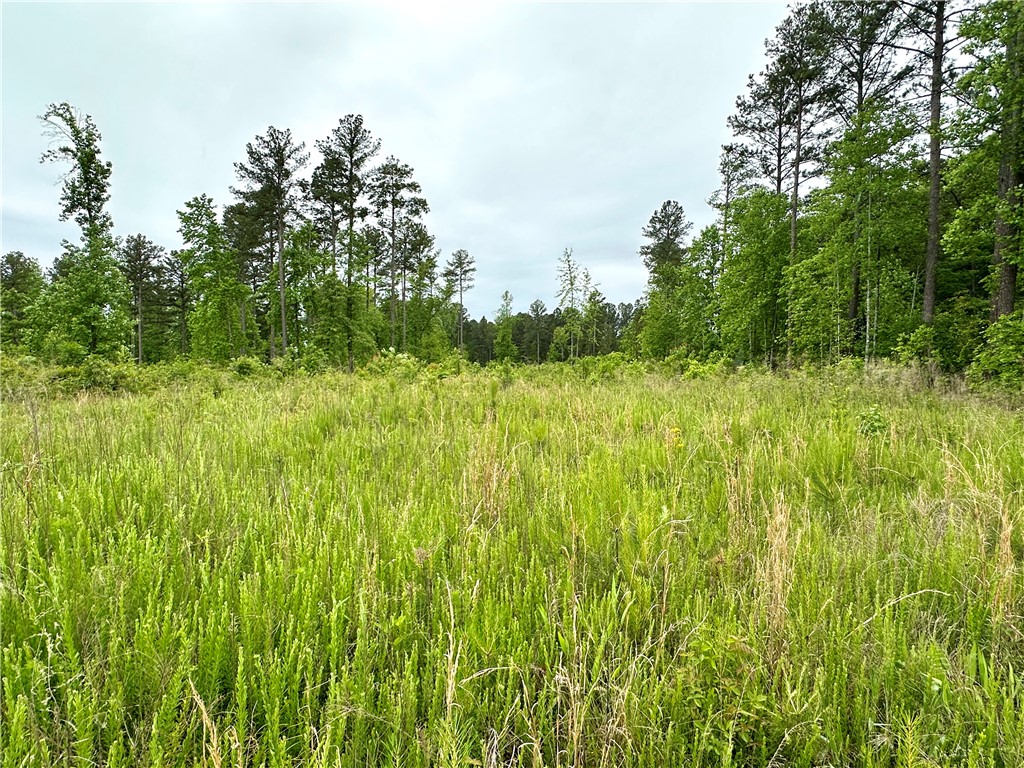 Lot 6 Coffee Road, Walhalla, South Carolina image 2