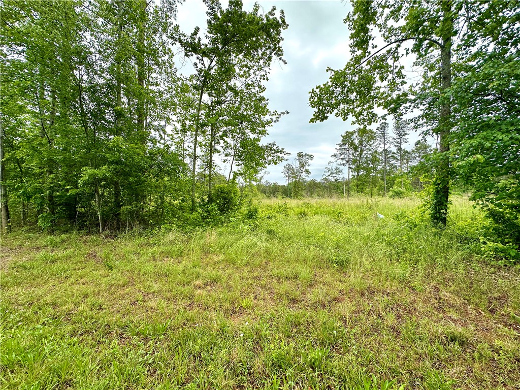 Lot 6 Coffee Road, Walhalla, South Carolina image 1