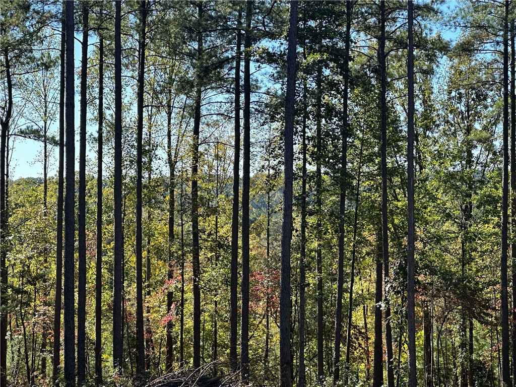 Lot E30 Jocassee Ridge, Salem, South Carolina image 4