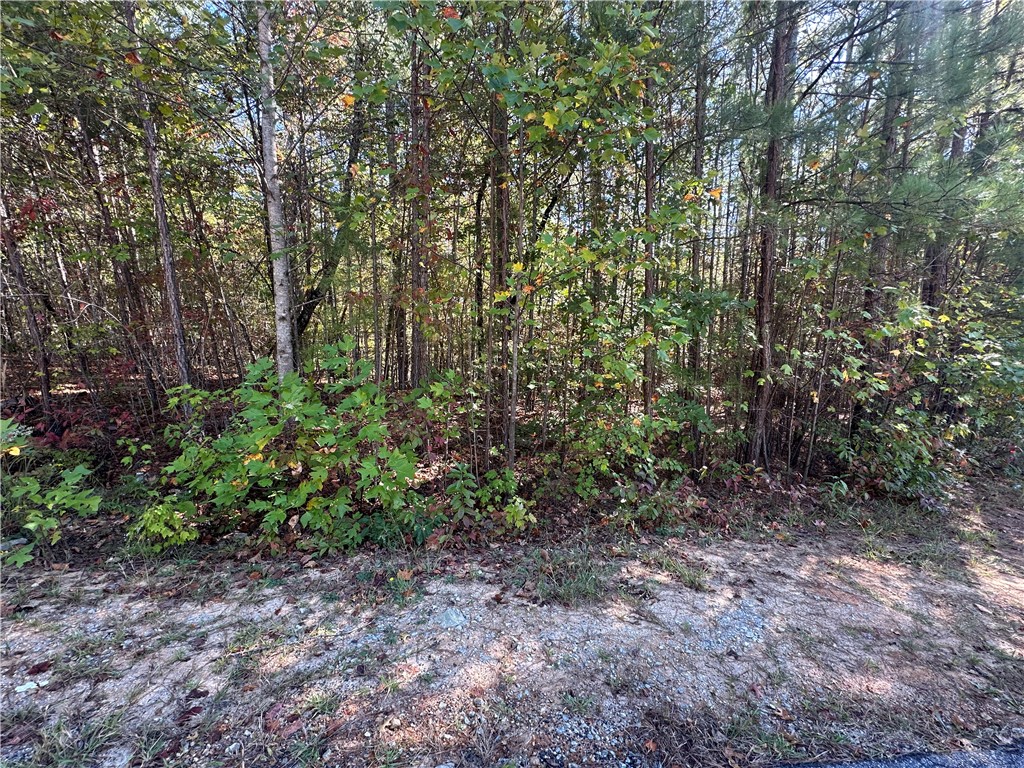 Lot E30 Jocassee Ridge, Salem, South Carolina image 2