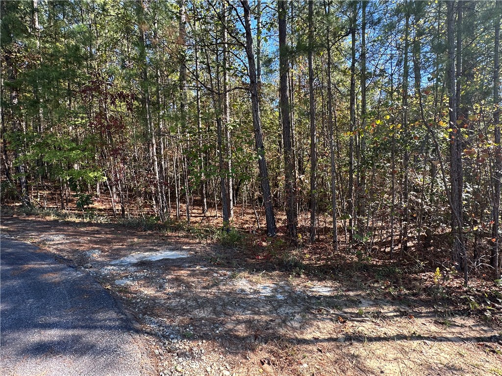 Lot E30 Jocassee Ridge, Salem, South Carolina image 1