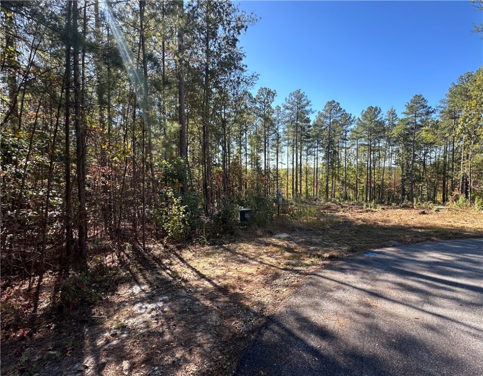Lot E30 Jocassee Ridge, Salem, South Carolina image 5