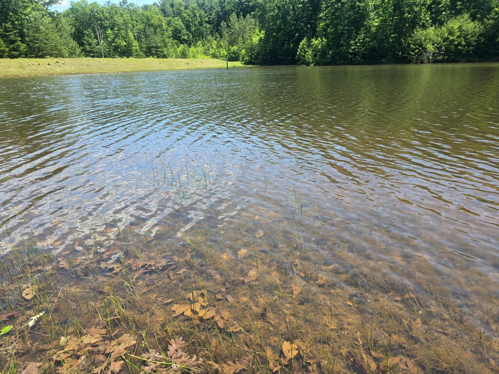 Lot E30 Jocassee Ridge, Salem, South Carolina image 8