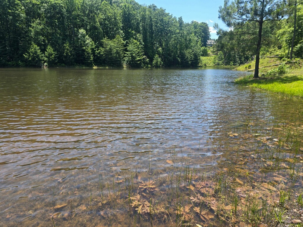 Lot E30 Jocassee Ridge, Salem, South Carolina image 9