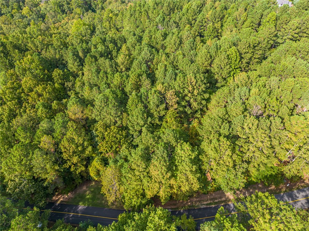 310 Top Ridge Drive, Sunset, South Carolina image 6