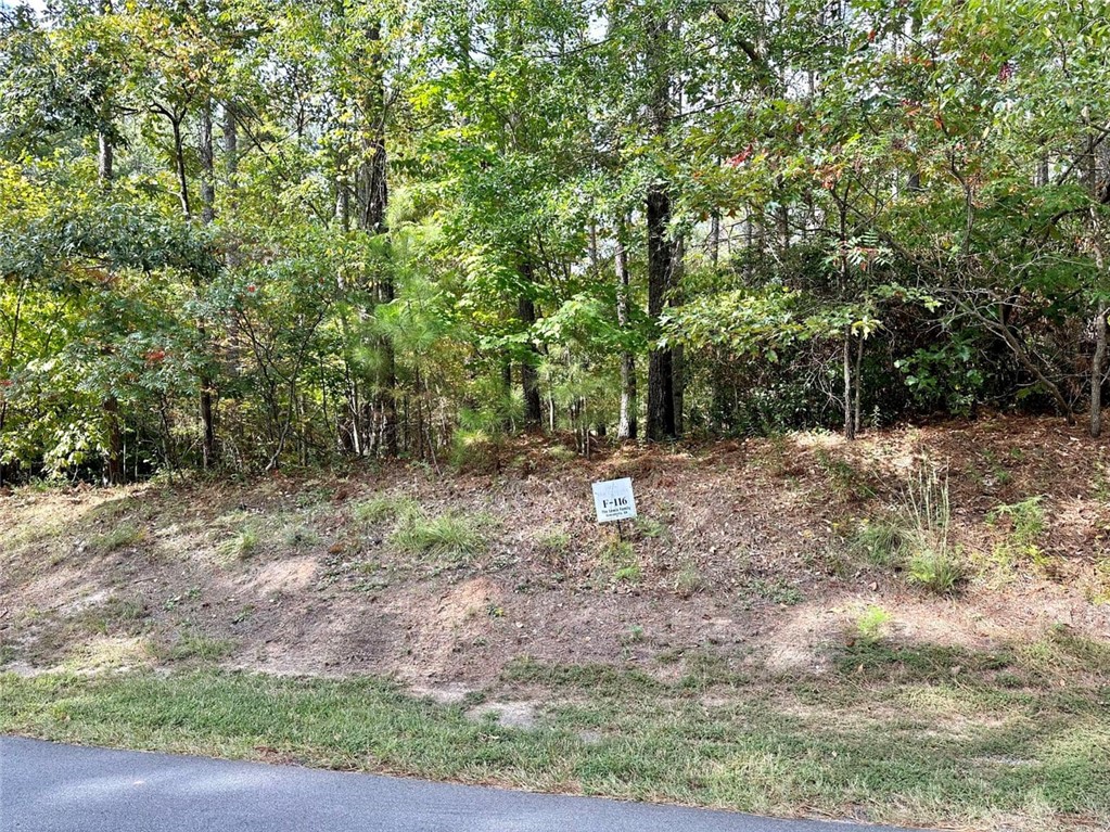 310 Top Ridge Drive, Sunset, South Carolina image 5