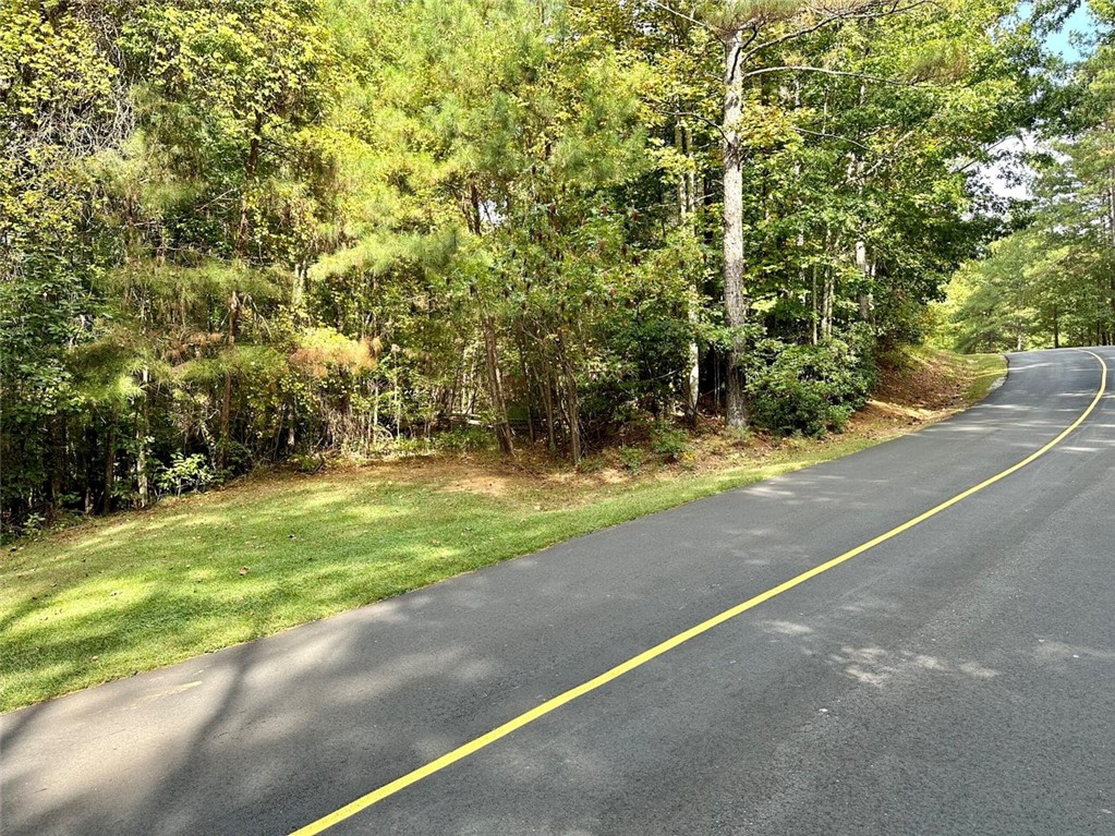 310 Top Ridge Drive, Sunset, South Carolina image 3