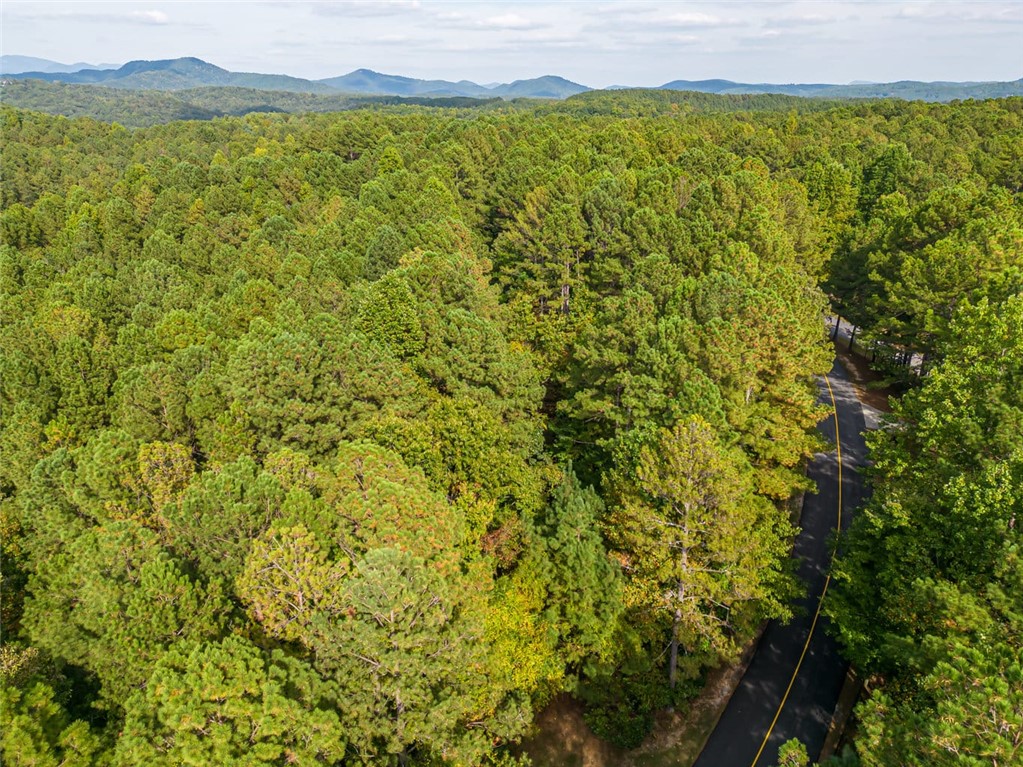 310 Top Ridge Drive, Sunset, South Carolina image 9