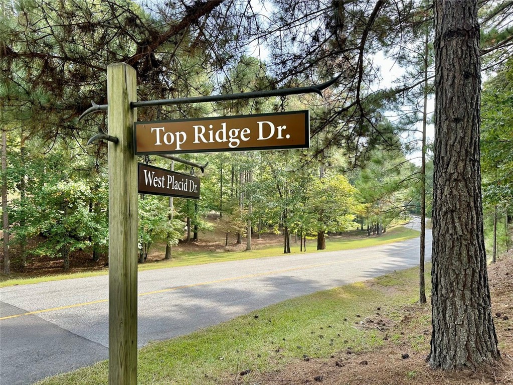 310 Top Ridge Drive, Sunset, South Carolina image 1
