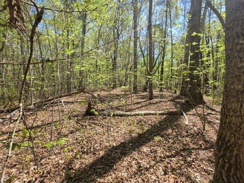 Vacant Land For Sale - 157 E Spartan Drive<br/> Westminster, SC 29693