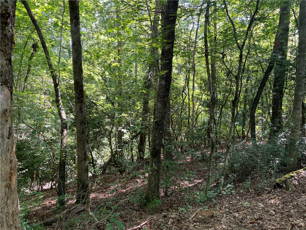 00 Whitewater Point Road, Tamassee, South Carolina image 6