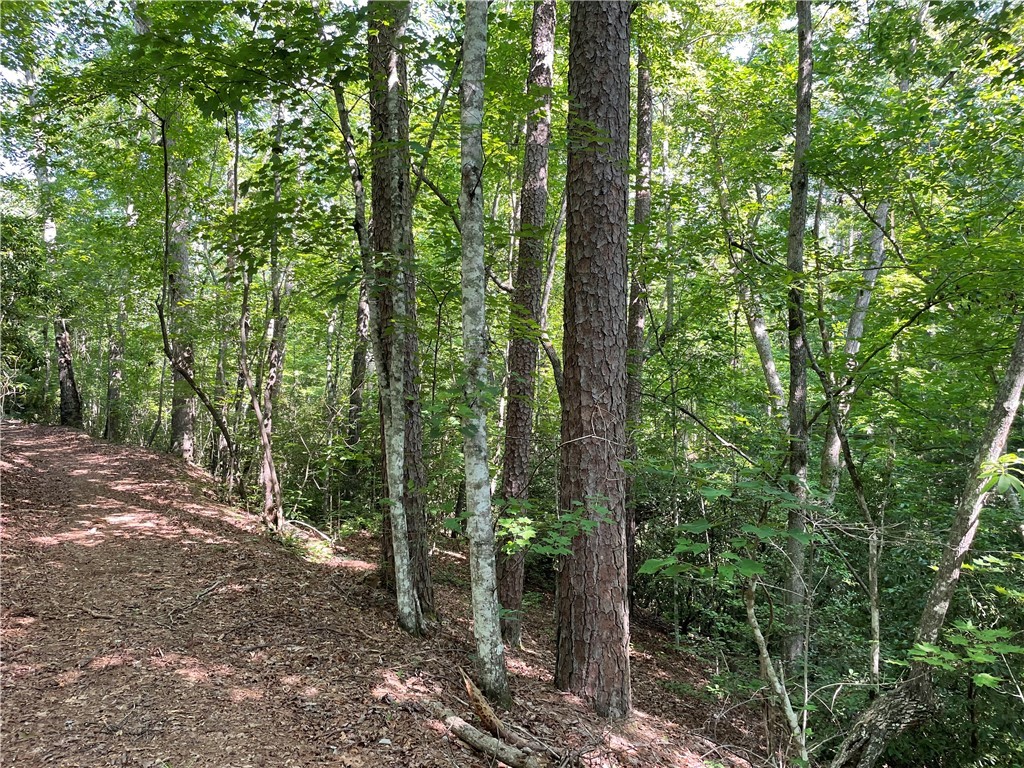 00 Whitewater Point Road, Tamassee, South Carolina image 7