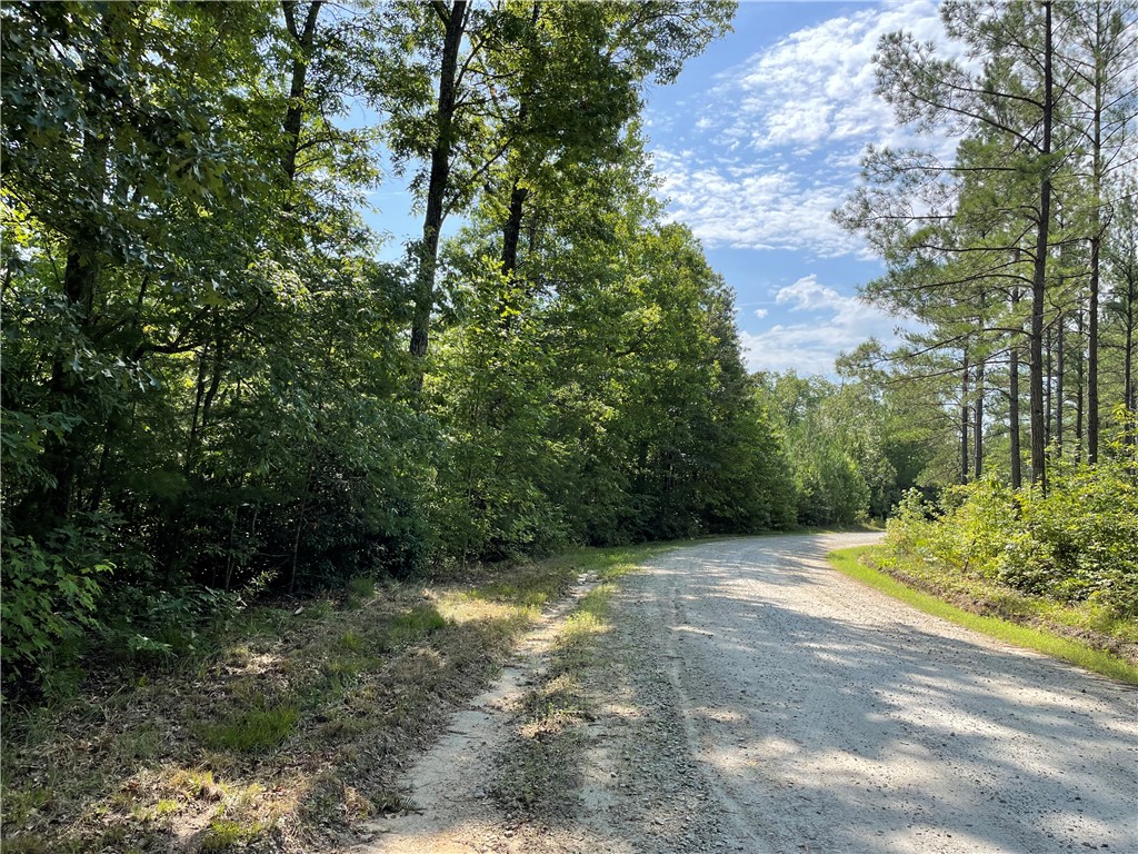 00 Whitewater Point Road, Tamassee, South Carolina image 11