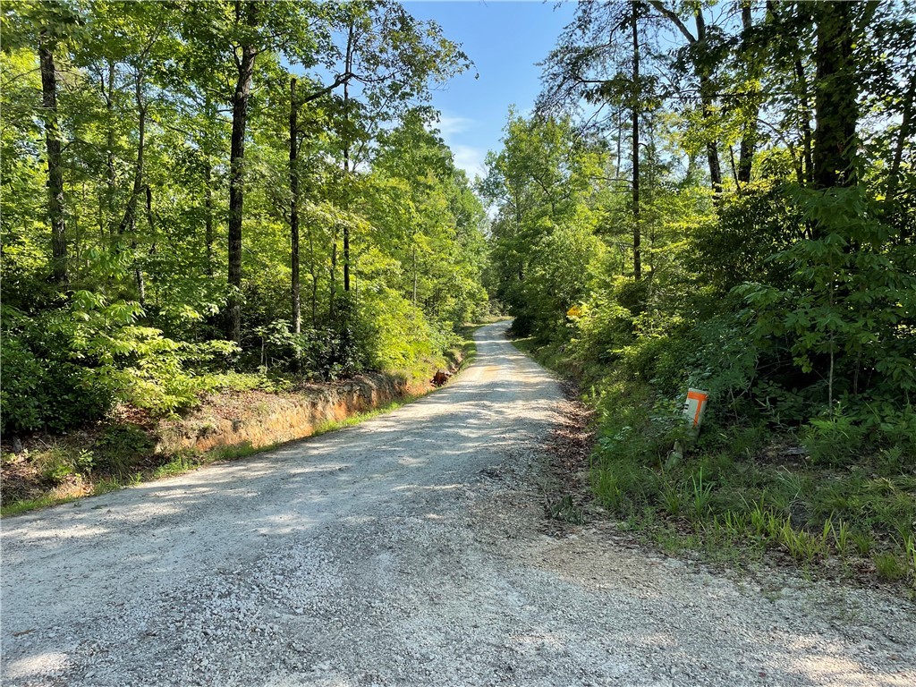 00 Whitewater Point Road, Tamassee, South Carolina image 10
