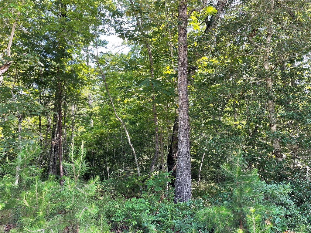 00 Whitewater Point Road, Tamassee, South Carolina image 5