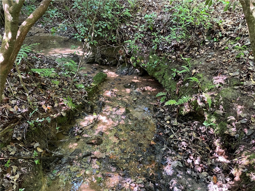 00 Whitewater Point Road, Tamassee, South Carolina image 1