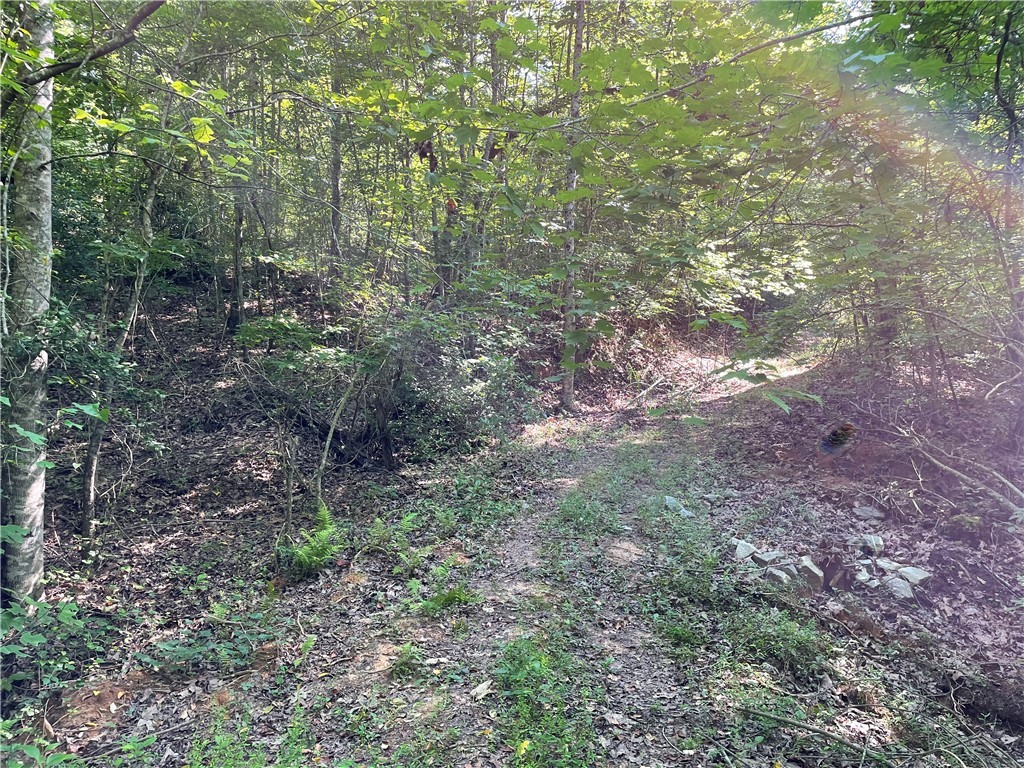 00 Whitewater Point Road, Tamassee, South Carolina image 8