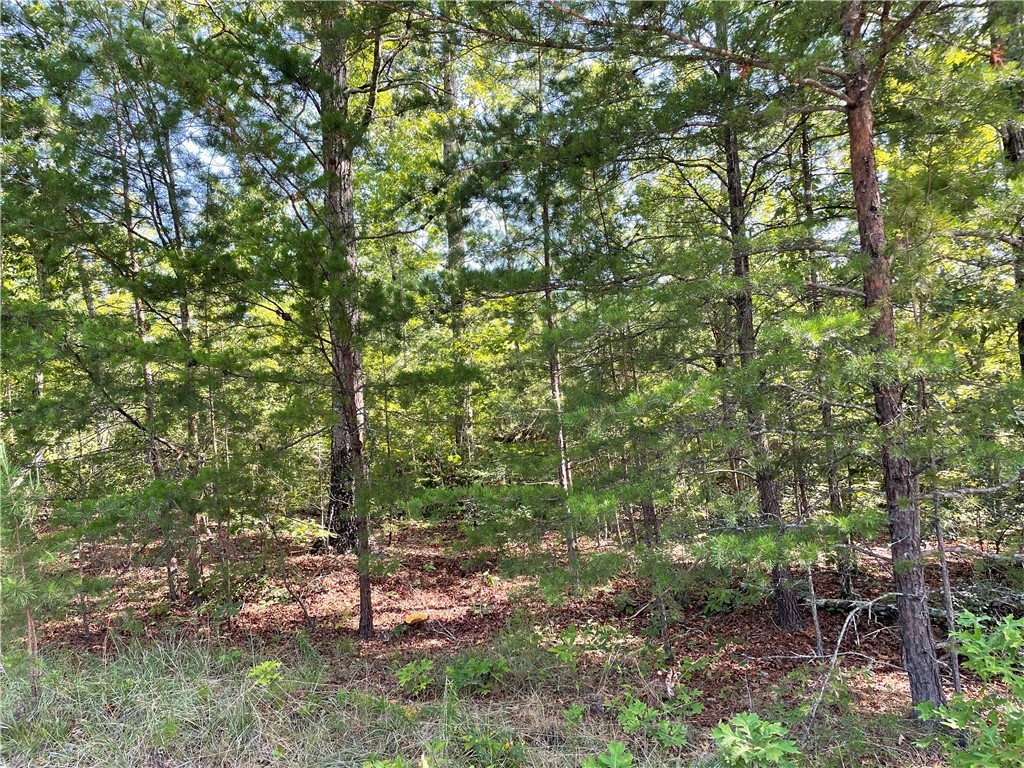 00 Whitewater Point Road, Tamassee, South Carolina image 4