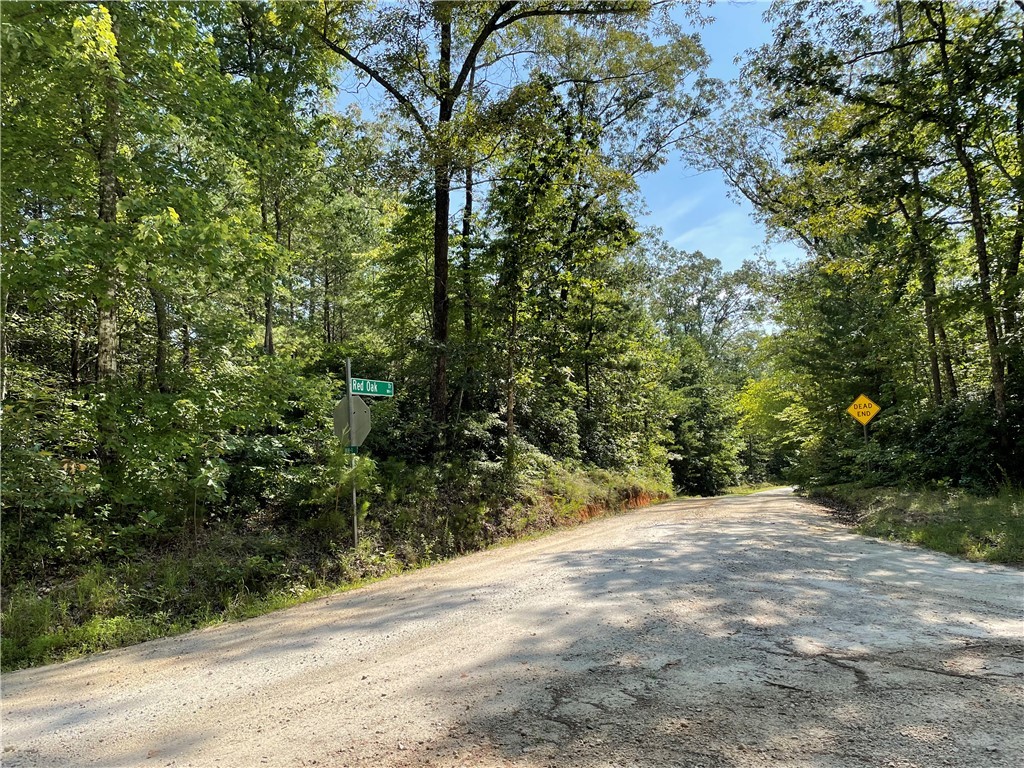 00 Whitewater Point Road, Tamassee, South Carolina image 15