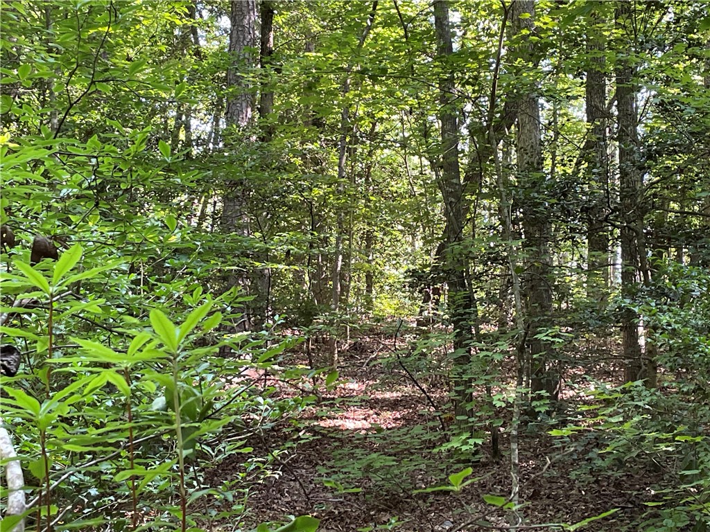 00 Whitewater Point Road, Tamassee, South Carolina image 3