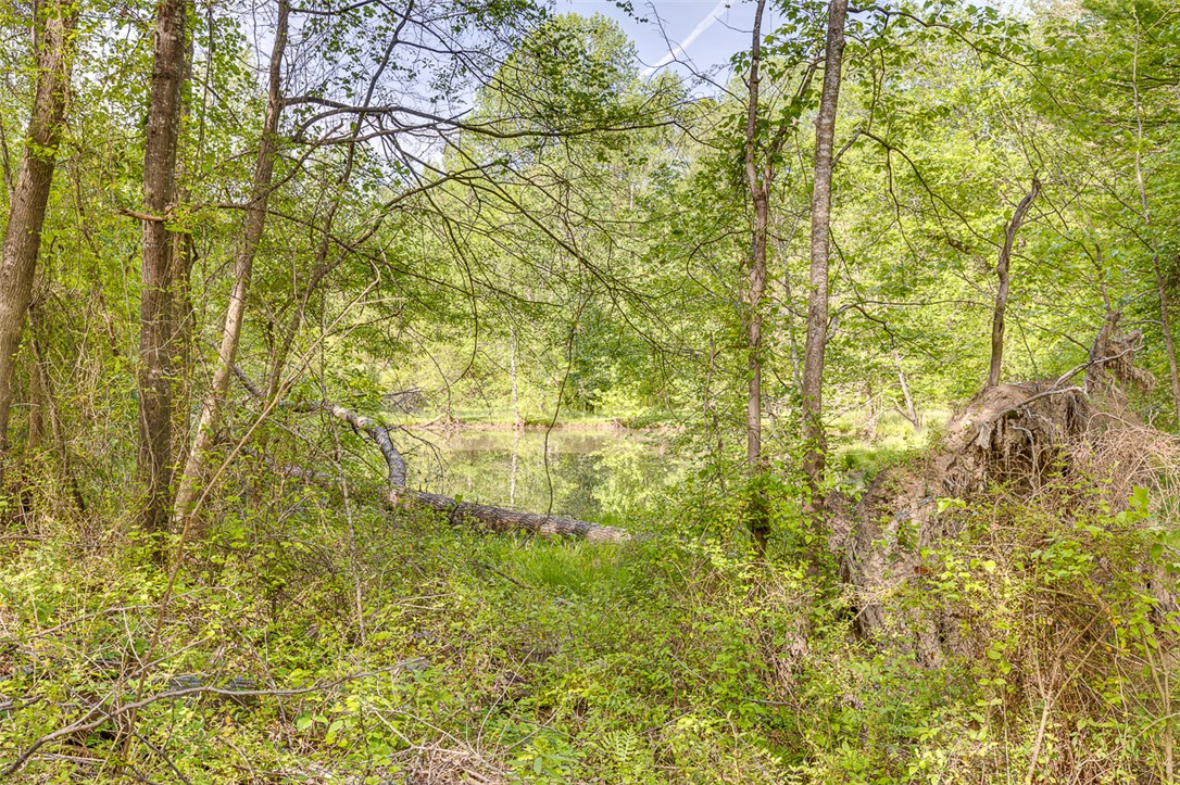176 Orchid Drive, Easley, South Carolina image 36