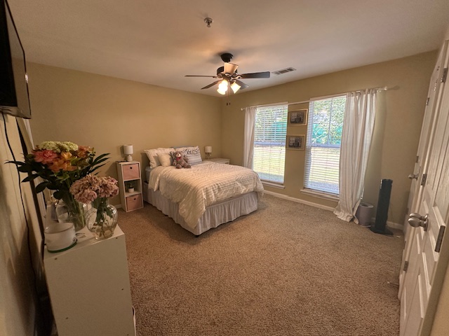 833 Old Greenville Highway #311, Clemson, South Carolina image 10