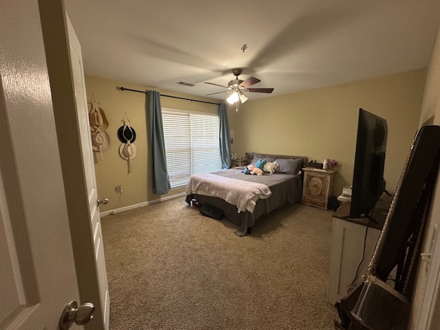 833 Old Greenville Highway #311, Clemson, South Carolina image 8
