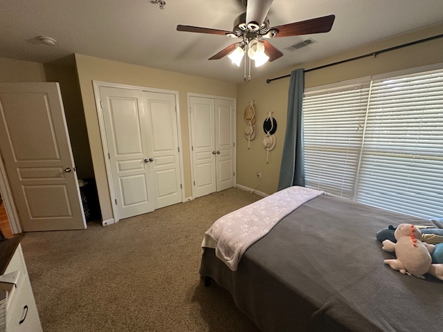 833 Old Greenville Highway #311, Clemson, South Carolina image 13