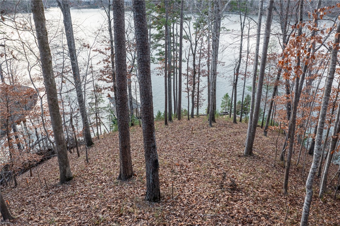 109 Misty Water Loop, Sunset, South Carolina image 10