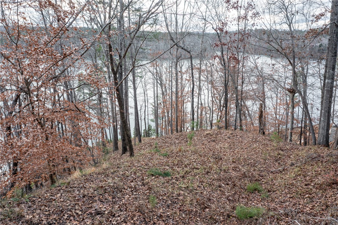 109 Misty Water Loop, Sunset, South Carolina image 7