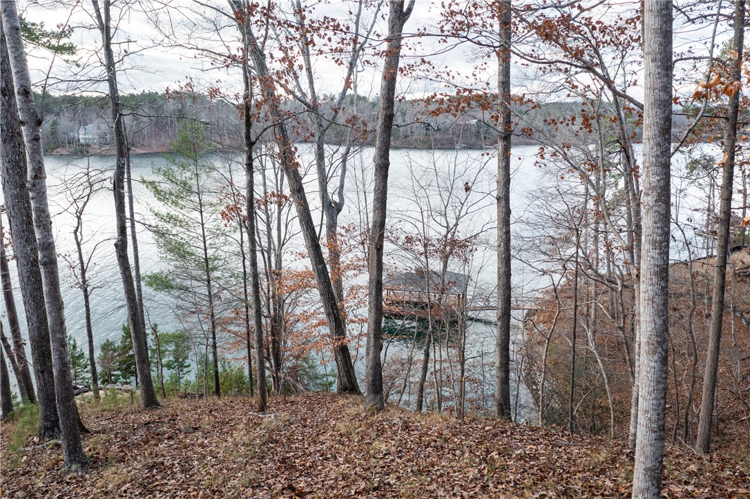 109 Misty Water Loop, Sunset, South Carolina image 12