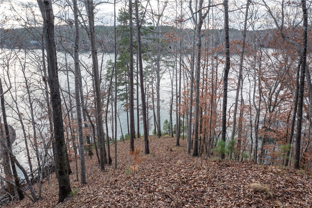 109 Misty Water Loop, Sunset, South Carolina image 9