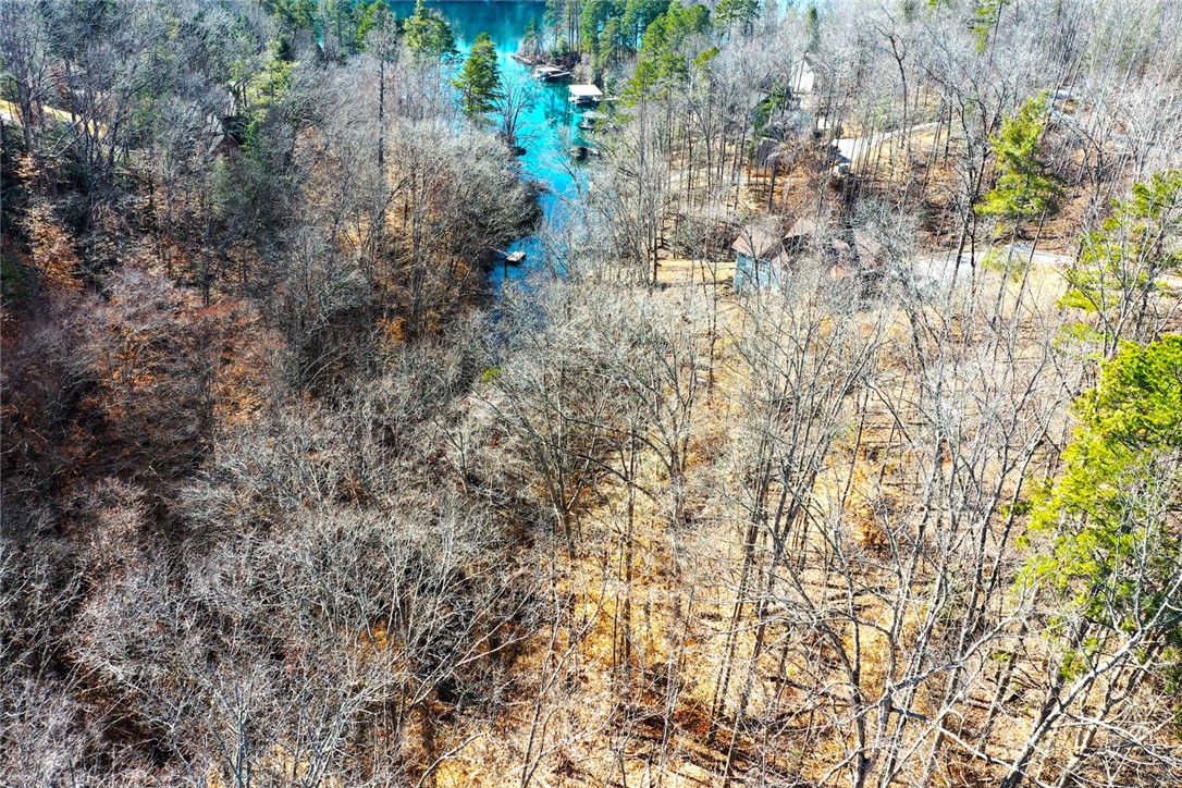 307 Cedar Creek Drive, Sunset, South Carolina image 35