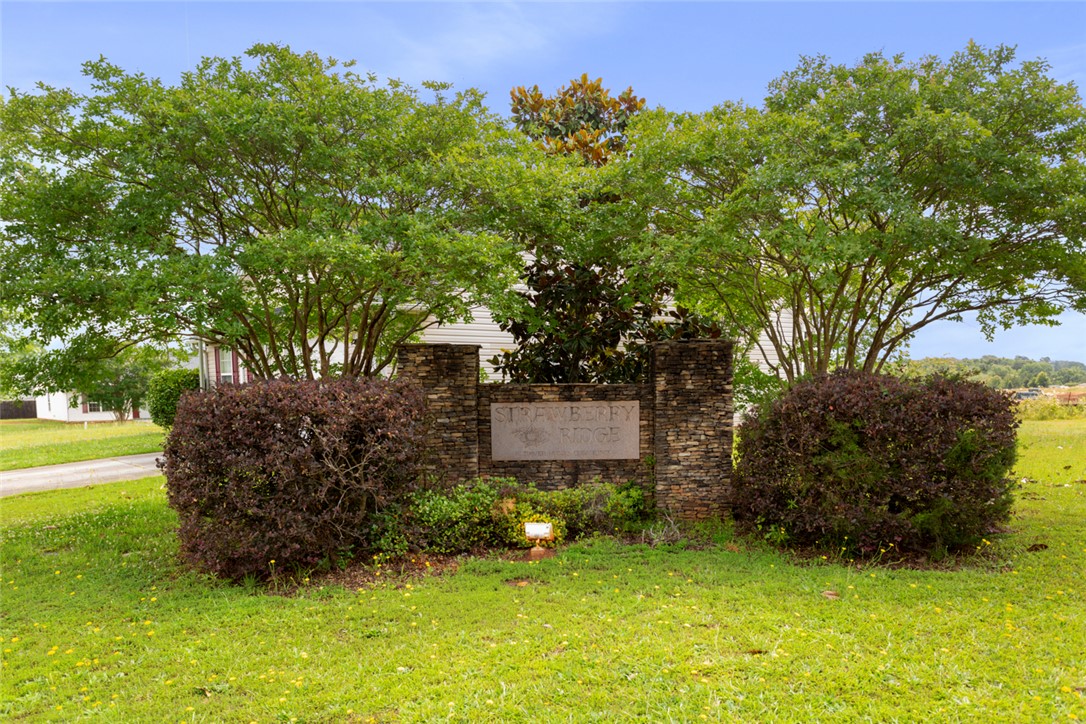 163 Strawberry Place, Anderson, South Carolina image 29