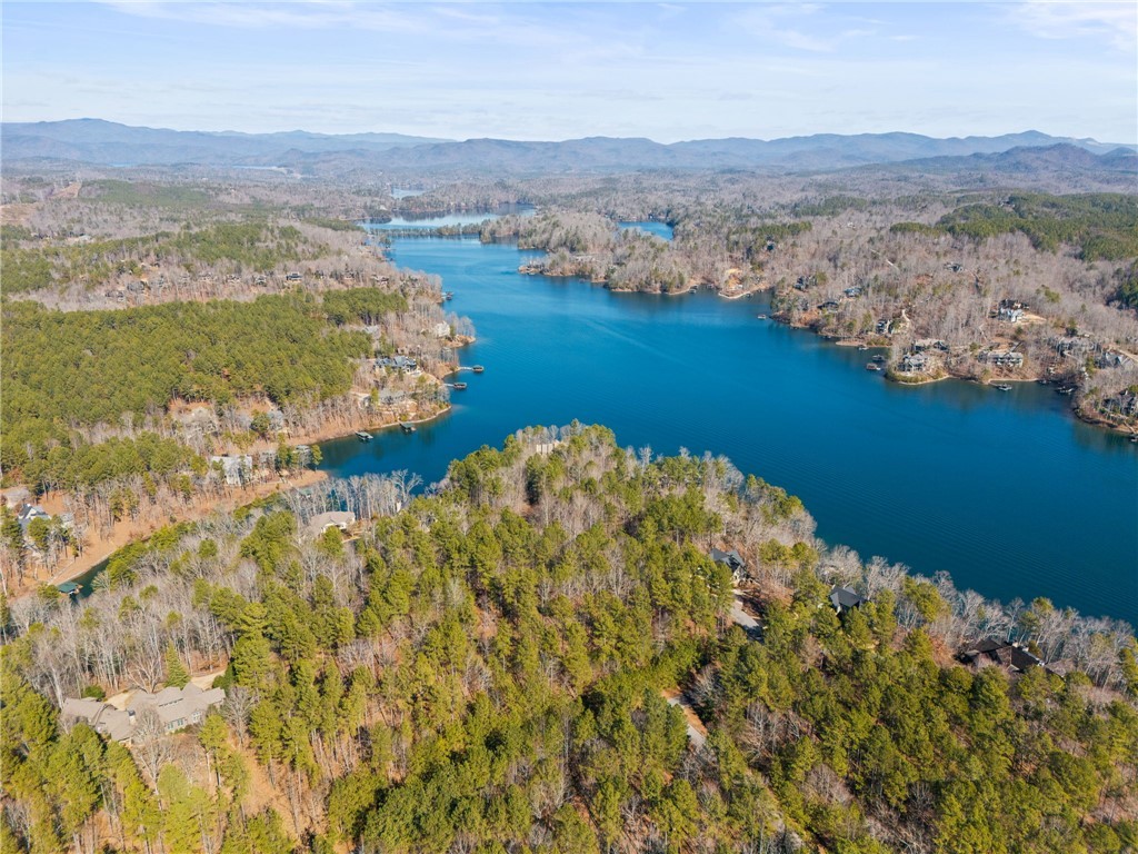 67A Long Cove Trail, Salem, South Carolina image 10