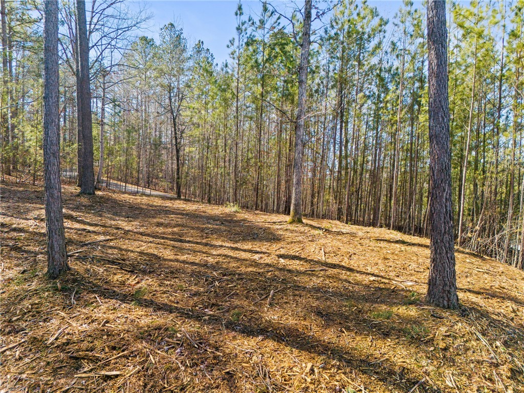 67A Long Cove Trail, Salem, South Carolina image 4