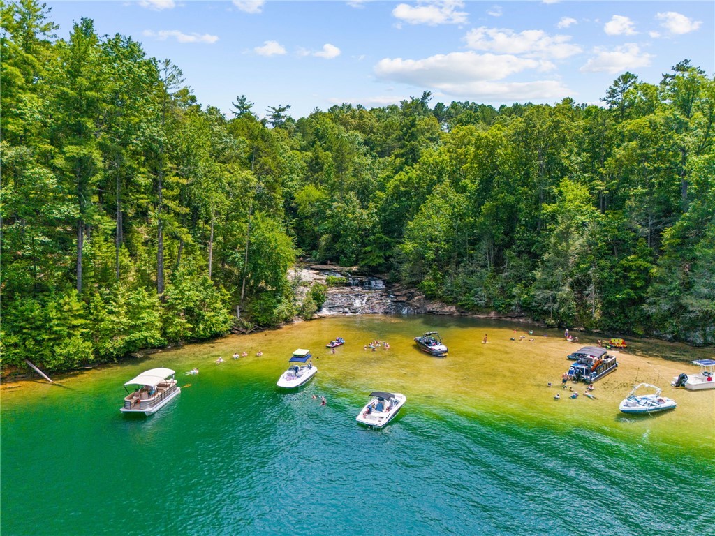 67A Long Cove Trail, Salem, South Carolina image 15