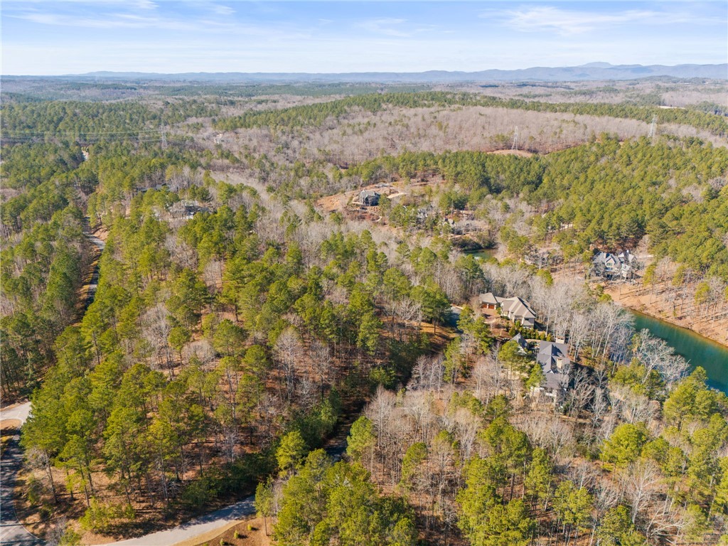 67A Long Cove Trail, Salem, South Carolina image 11