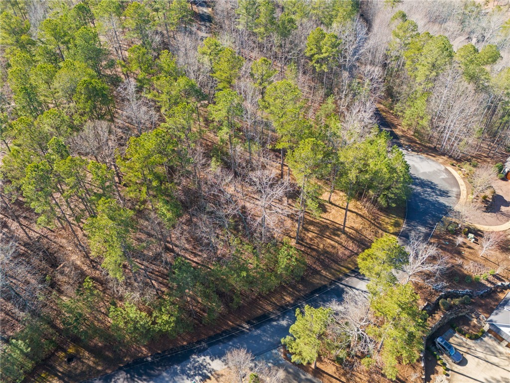 67A Long Cove Trail, Salem, South Carolina image 12