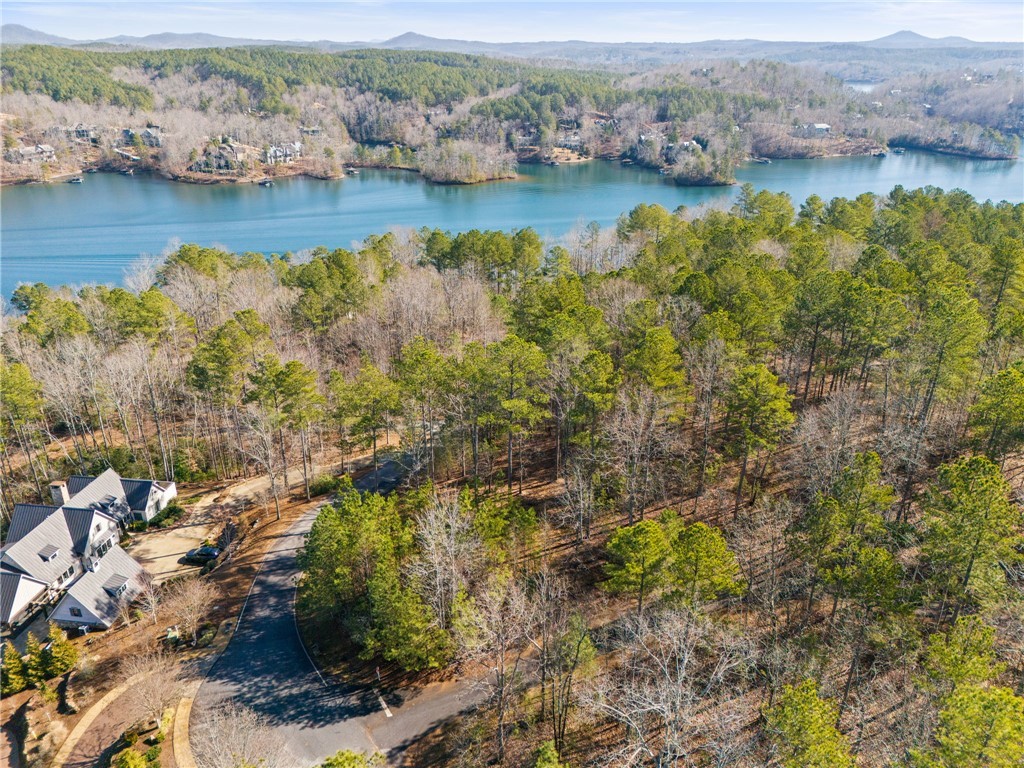 67A Long Cove Trail, Salem, South Carolina image 3