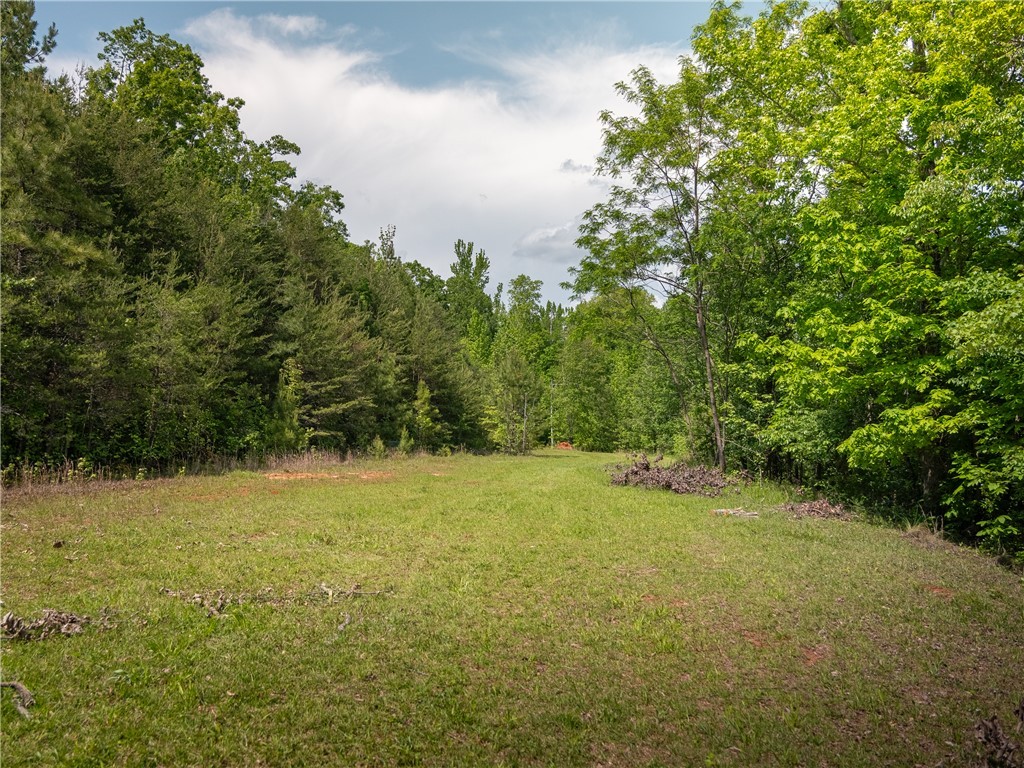 149 April Valley Lane, Pickens, South Carolina image 25