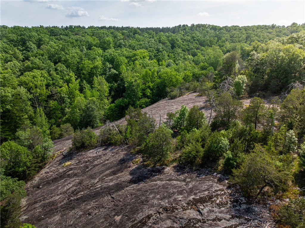 149 April Valley Lane, Pickens, South Carolina image 22