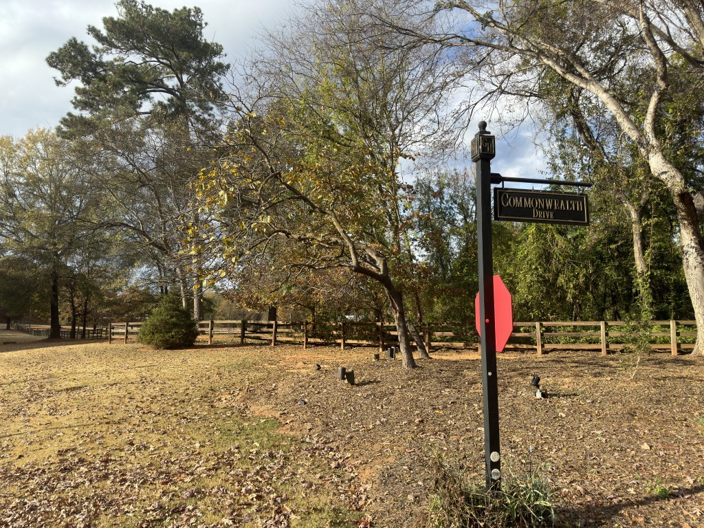 Lot 97 Armory Court, Ninety Six, South Carolina image 8