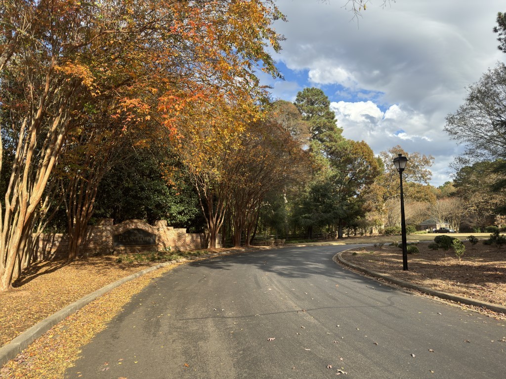 Lot 97 Armory Court, Ninety Six, South Carolina image 9